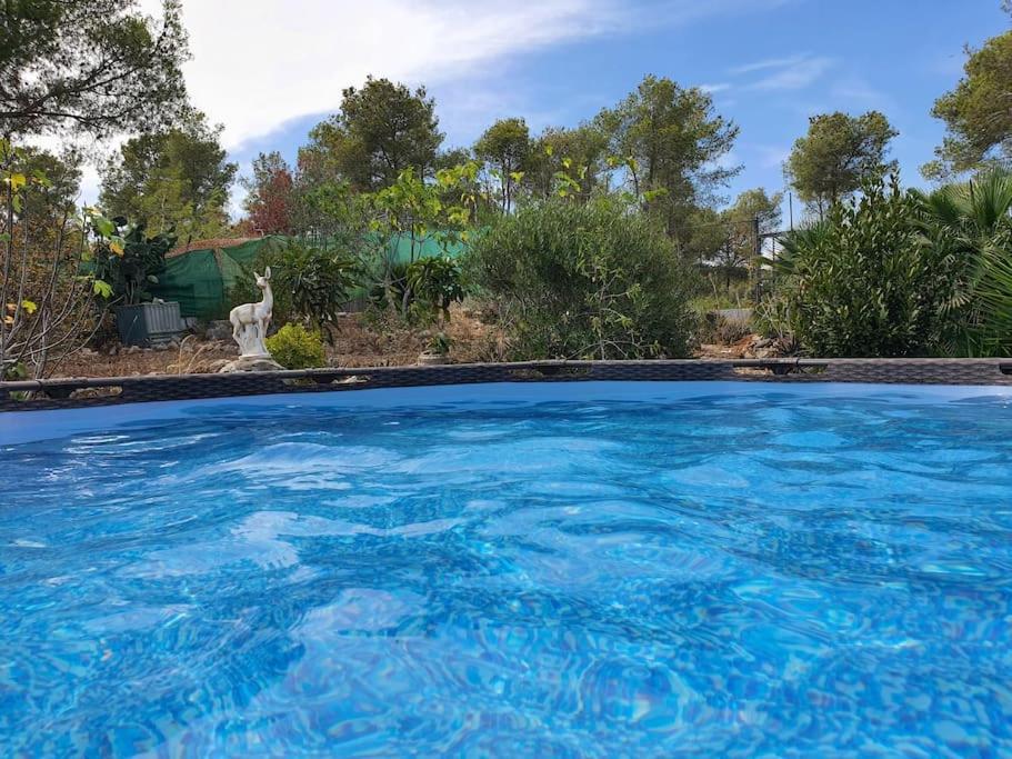 Le Petit Paradis Olivella מראה חיצוני תמונה